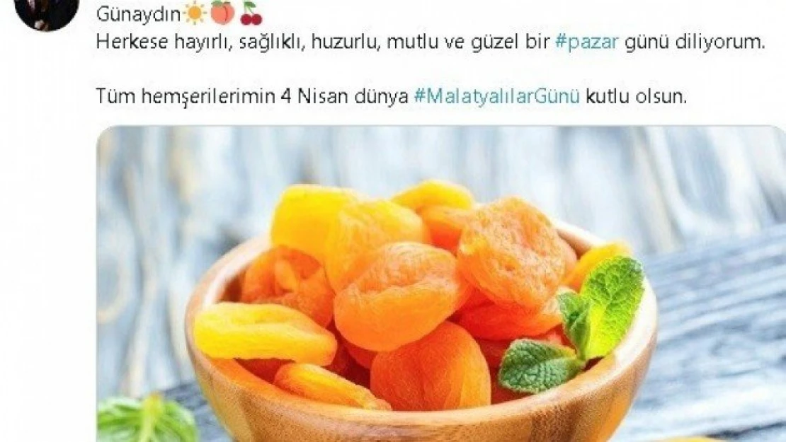 Dünya Malatyalılar Günü