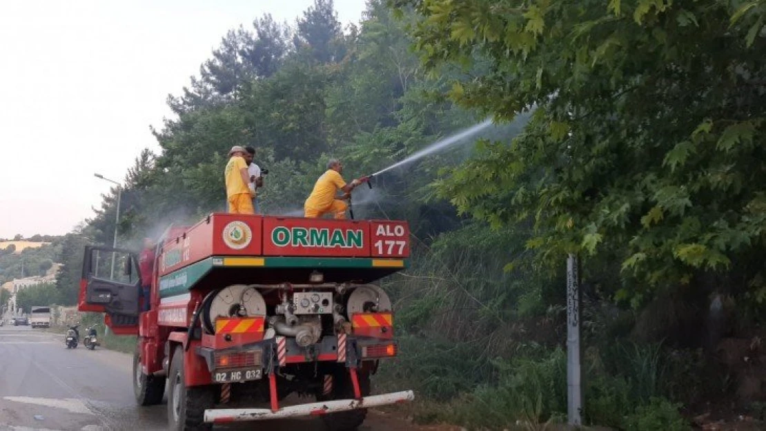 Orman yangını büyümeden söndürüldü