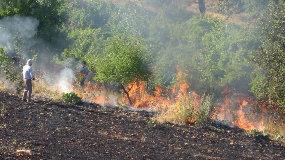 Orman yangınına ilk müdahale gazeteciler ile vatandaşlardan geldi