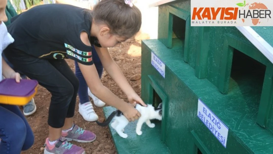 Örnek projeyle 'Kedi ve köpekler' okul bahçesinde