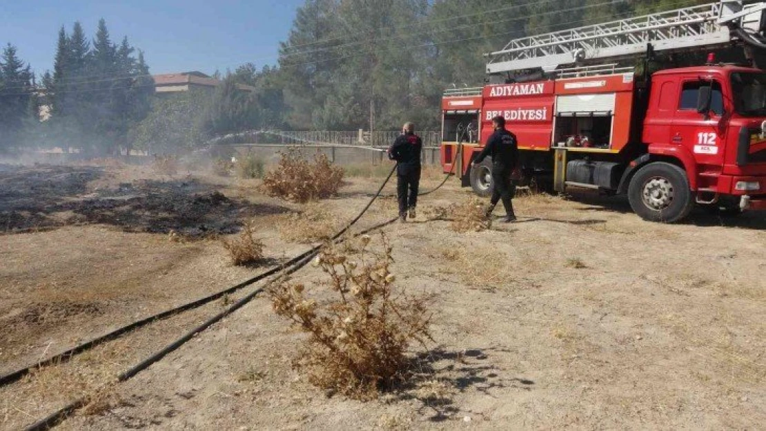 Otluk yangını çamlık alana sıçramadan söndürüldü