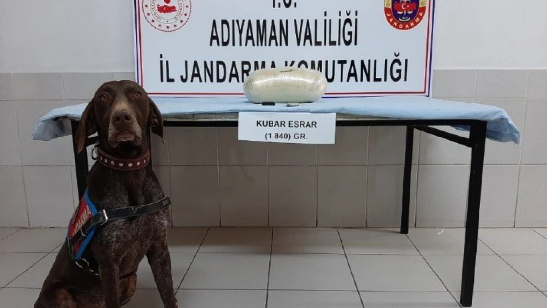 Otobüsteki uyuşturucuyu 'manken' buldu