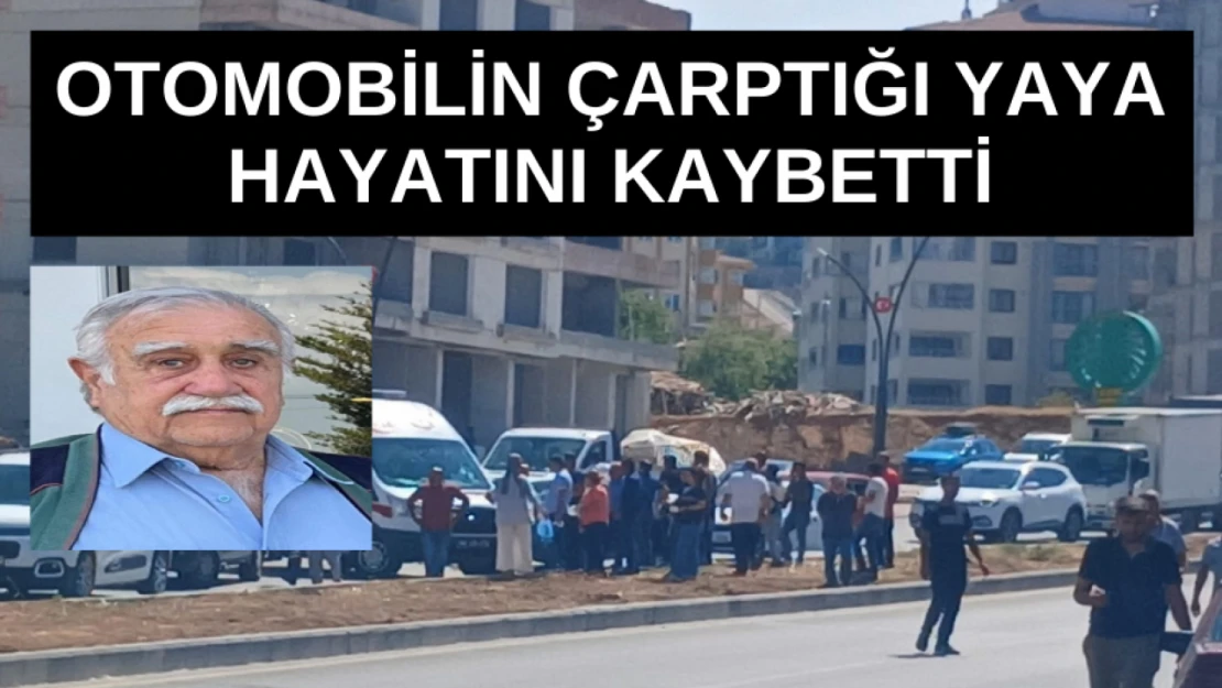 Otomobilin çarptığı yaya hayatını kaybetti