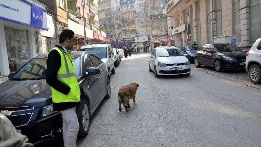 Parkmetre uygulaması iptal mi edildi?