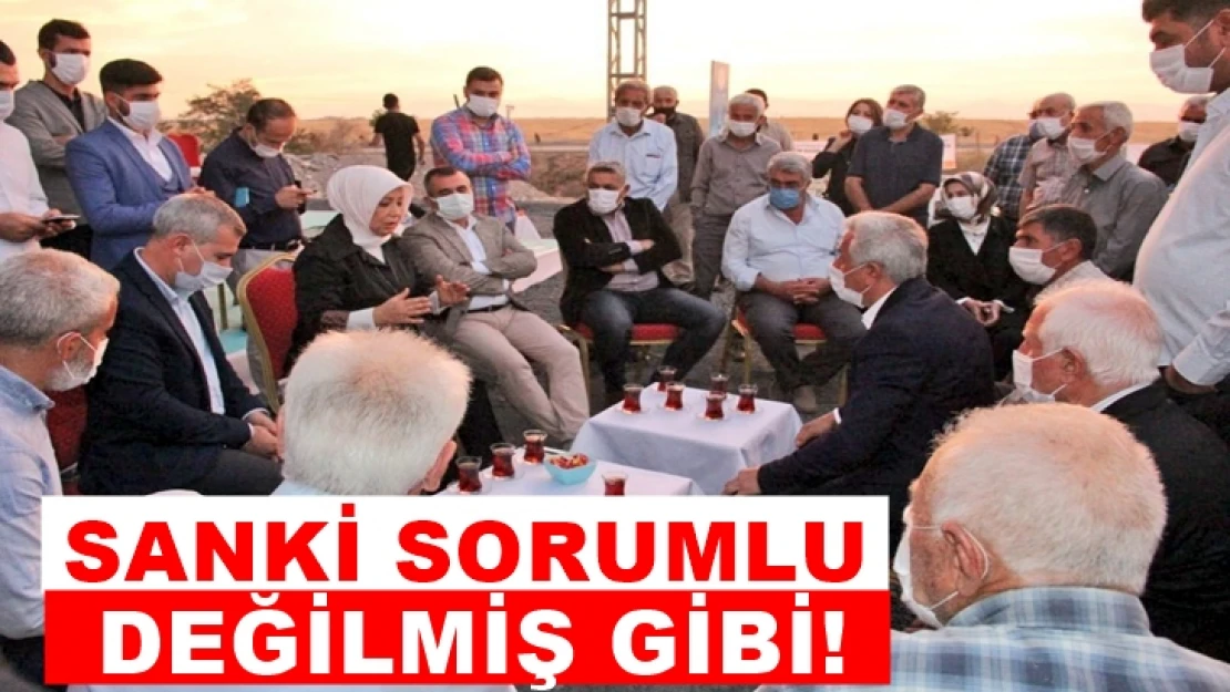 Sanki sorumlu değilmiş gibi!