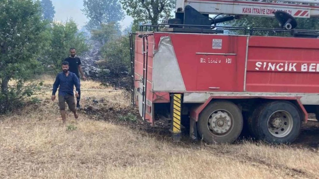 Sincik'te ormanlık alandı yangın