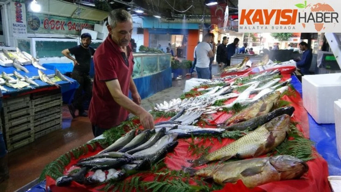 Tatlı su balıklarının rakibi, deniz balıkları Elazığ'da yerini aldı