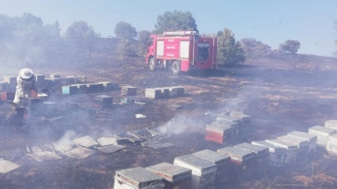 Yangında 830 adet kovan kül oldu