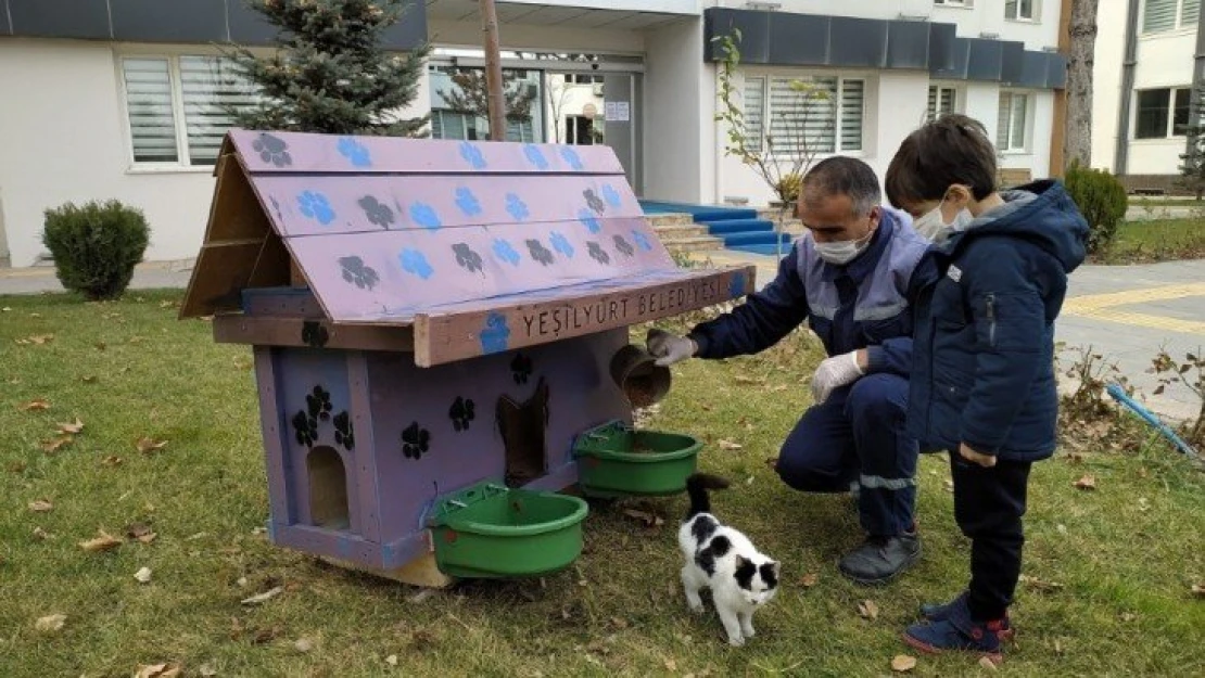 Yeşilyurt'ta sokak hayvanları için Kedi ve Köpek Evler Projesi