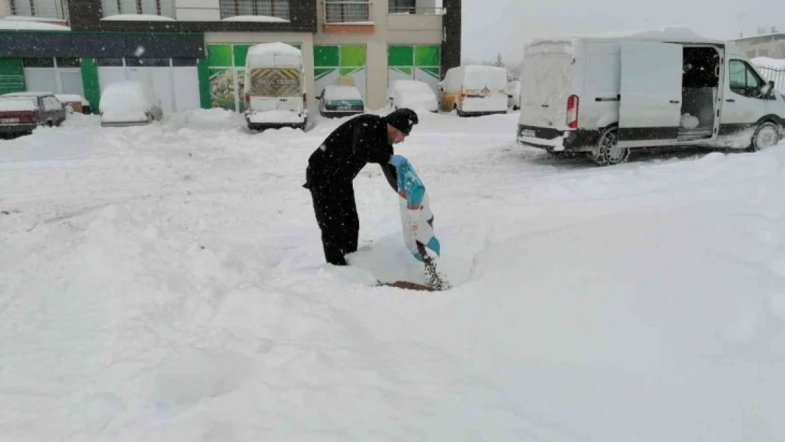 Yeşilyurt'ta sokak hayvanları unutulmadı