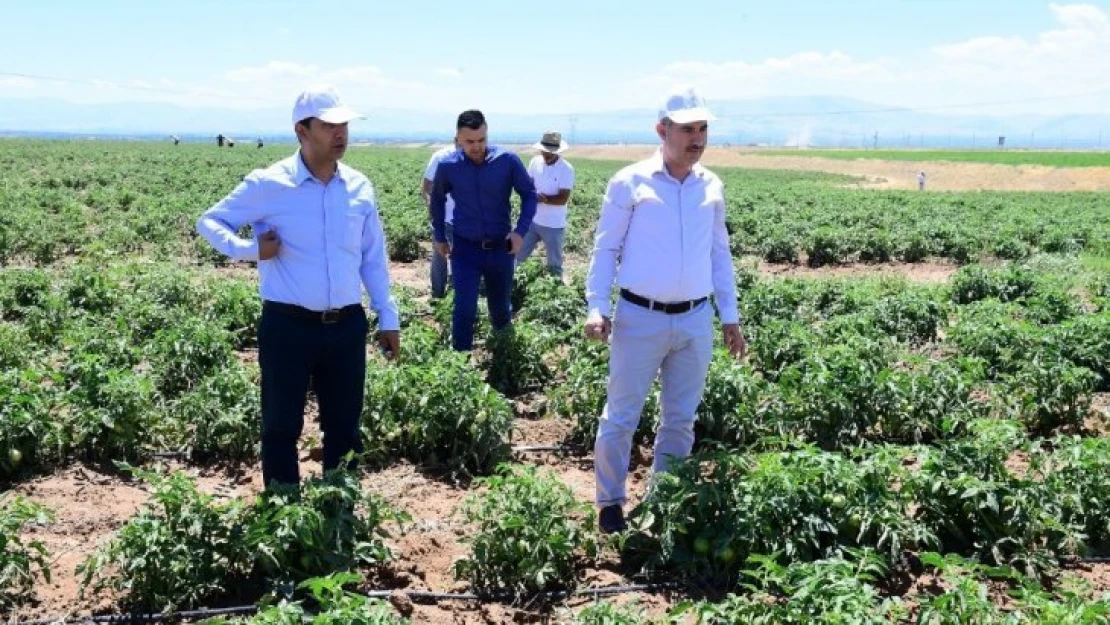 Yeşilyurt'ta yüzde yüz yerli tarımsal üretim devam ediyor