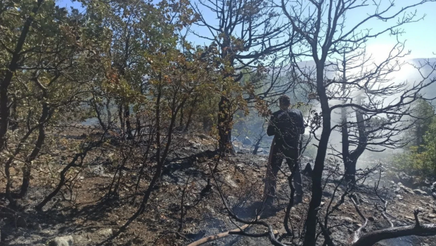 Adıyaman'daki orman yangını tamamen söndürüldü