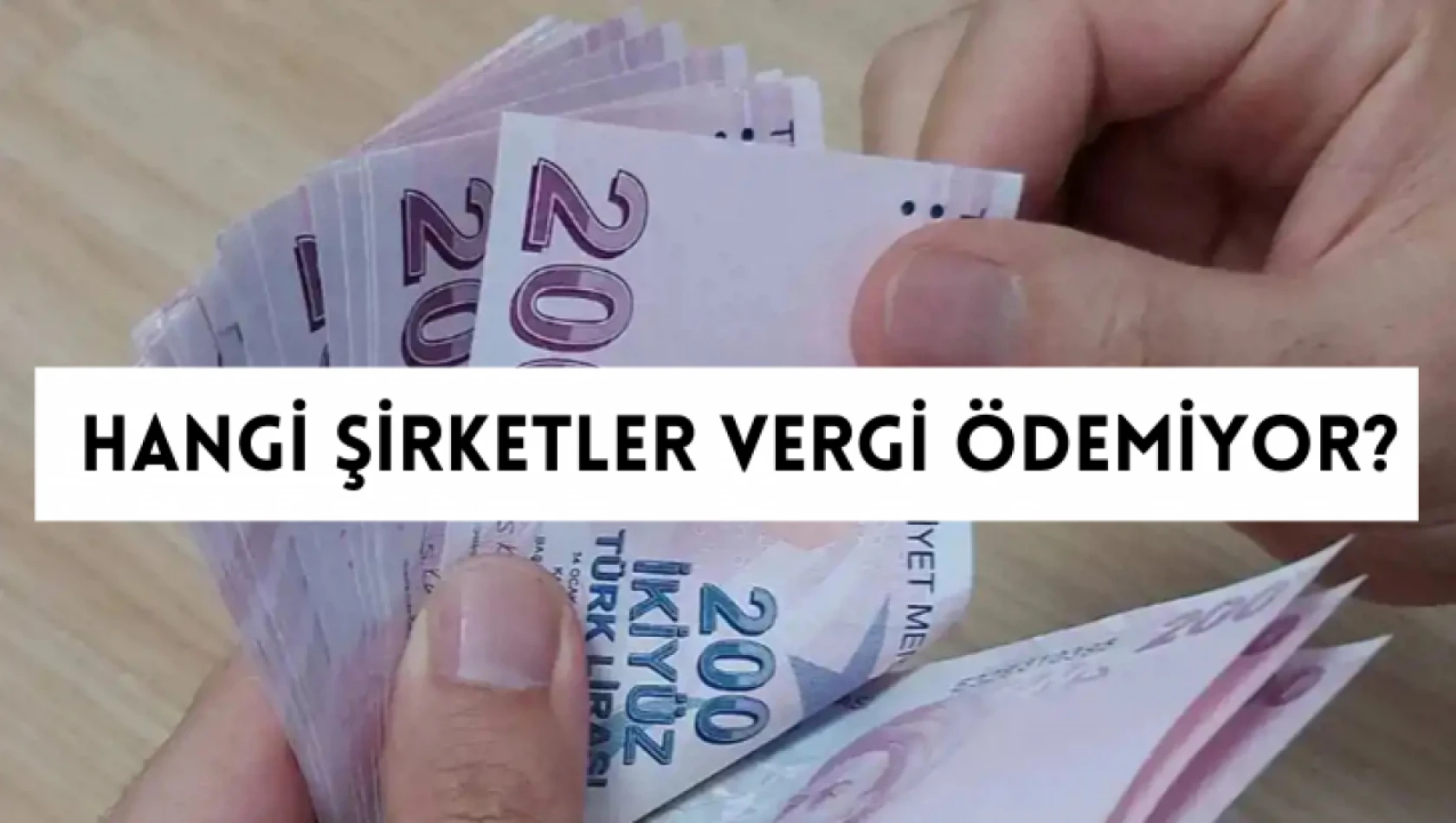 Hangi şirketler vergi ödemiyor?