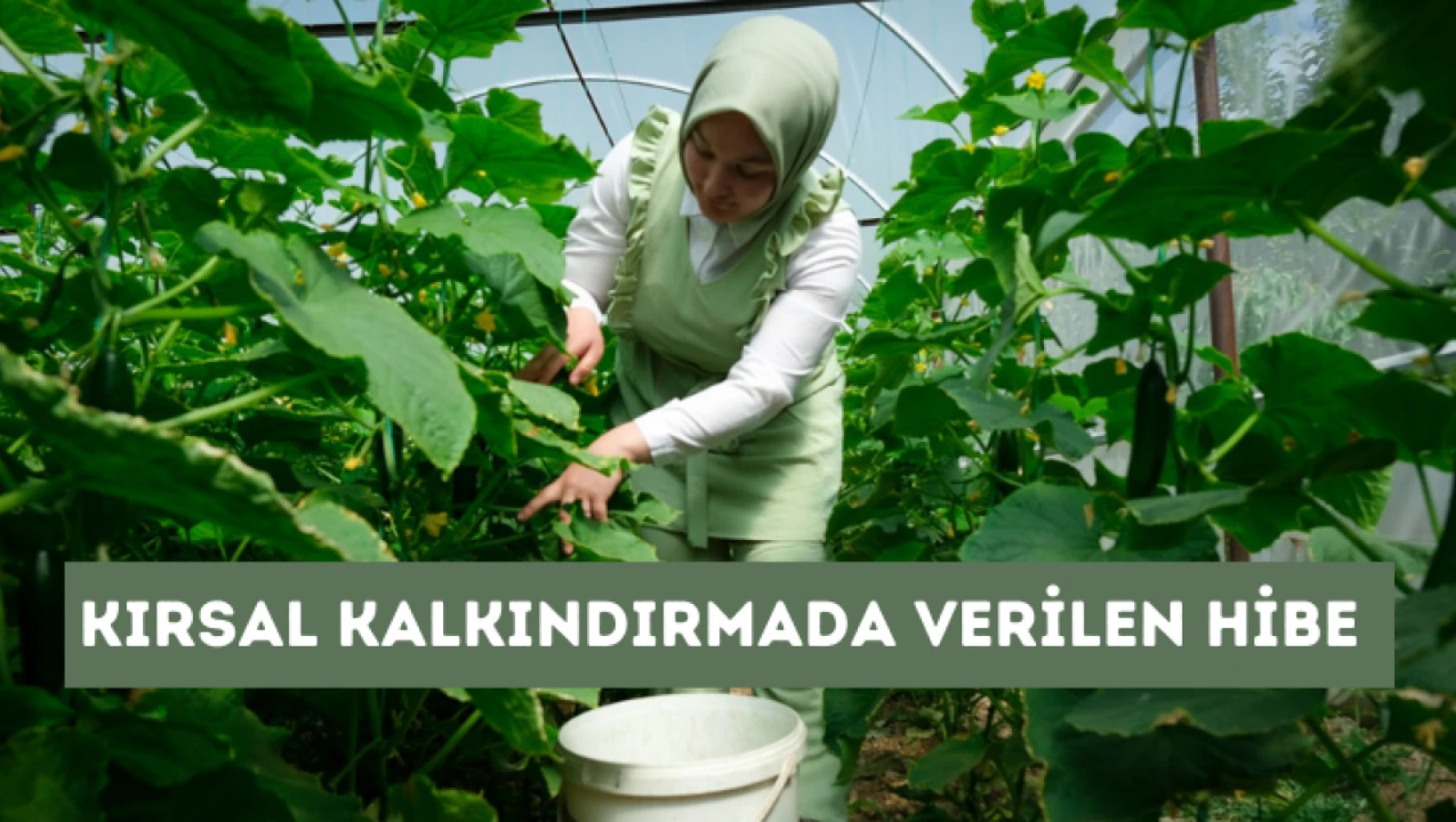 Kırsal Kalkındırmada verilen hibe