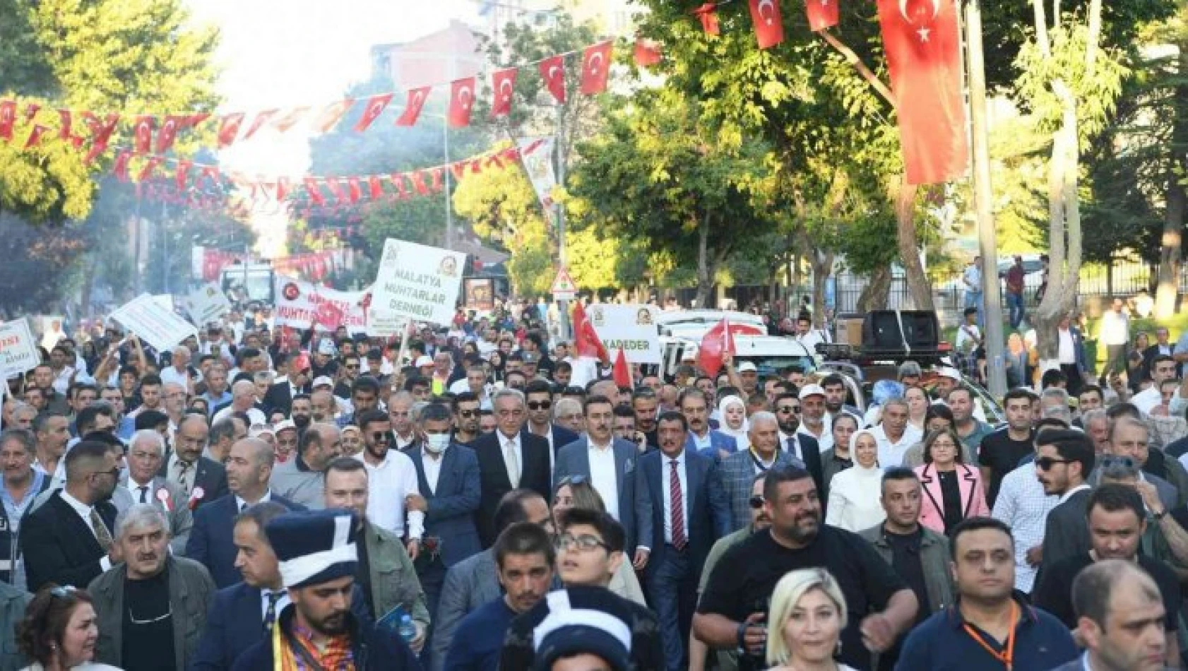 Kayısı Festivali başladı