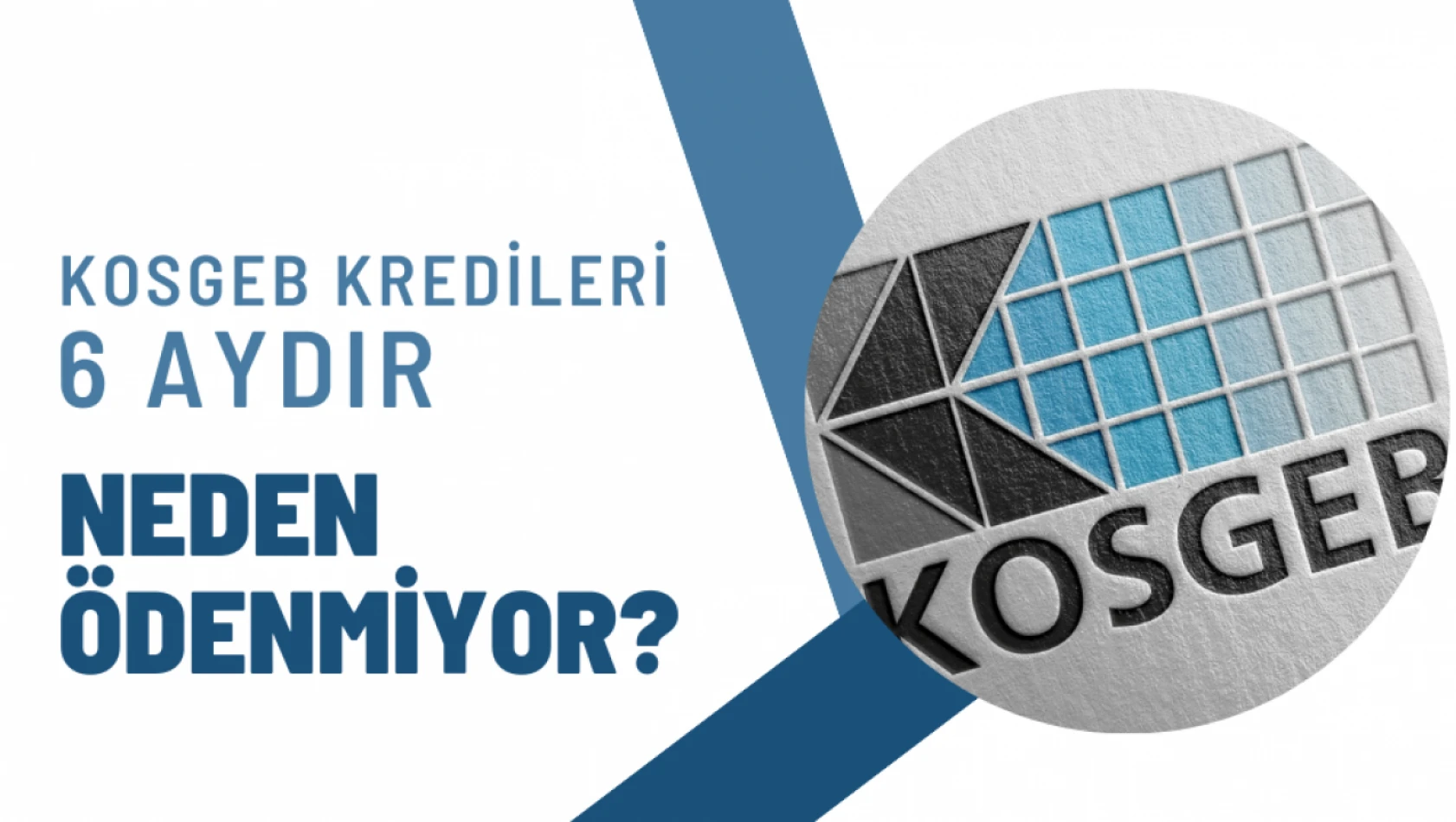 Sadıkoğlu: KOSGEB Kredileri 6 aydır neden ödenmiyor?