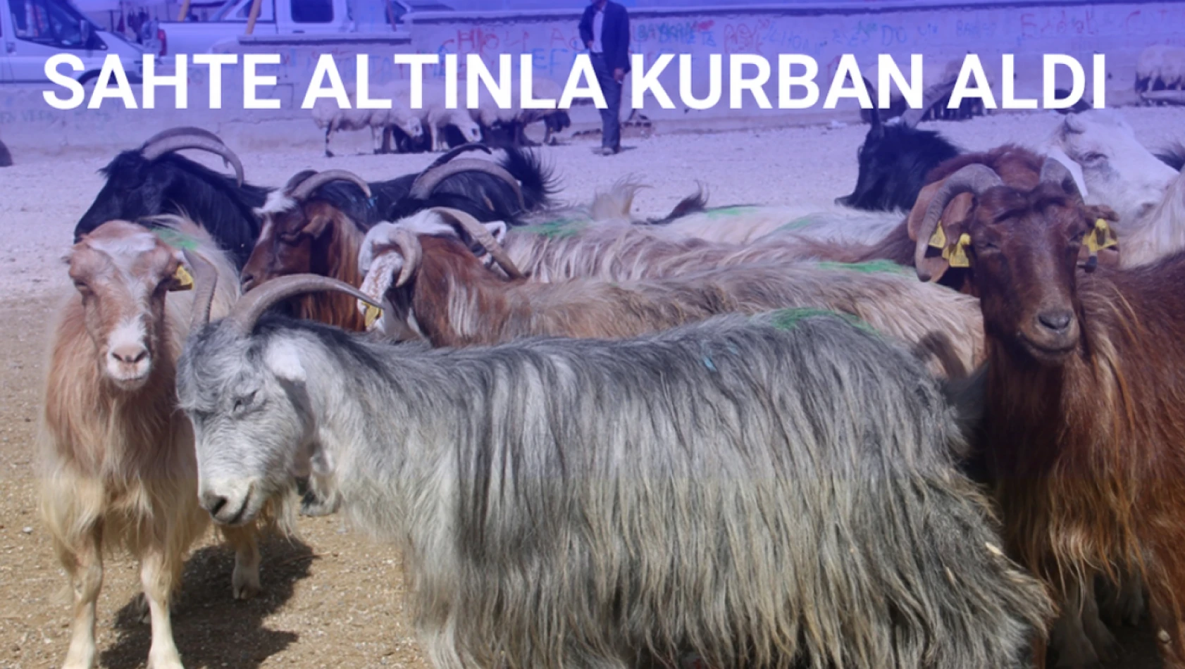 Sahte altınla kurban aldı