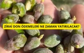 Zirai don ödemeleri ne zaman yatırılacak?