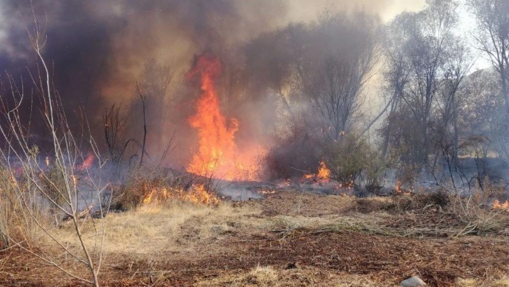 Malatya'da orman yangını korkuttu
