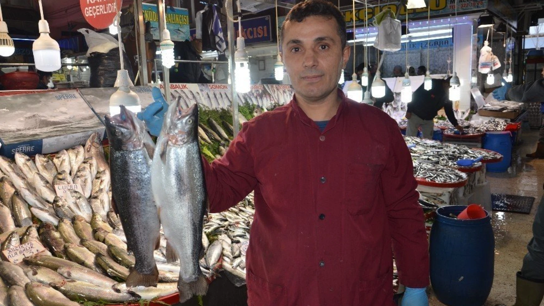 Malatya'da balık fiyatları cep yakıyor
