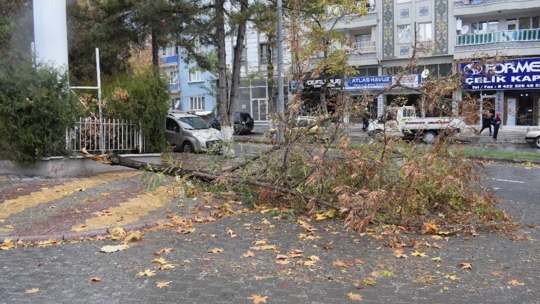 Fırtınanın devirdiği ağaç otomobilin üzerine düştü
