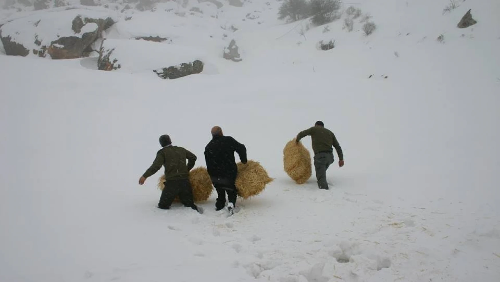 Elazığ'da yaban hayvanları için 4 ton yem bırakıldı