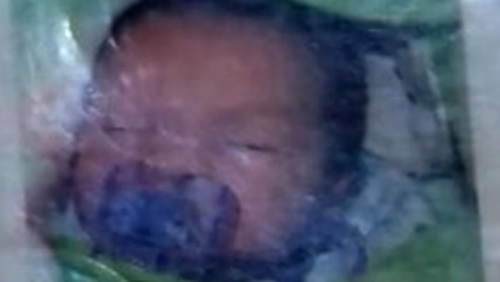 5 aylık bebek ölü bulundu