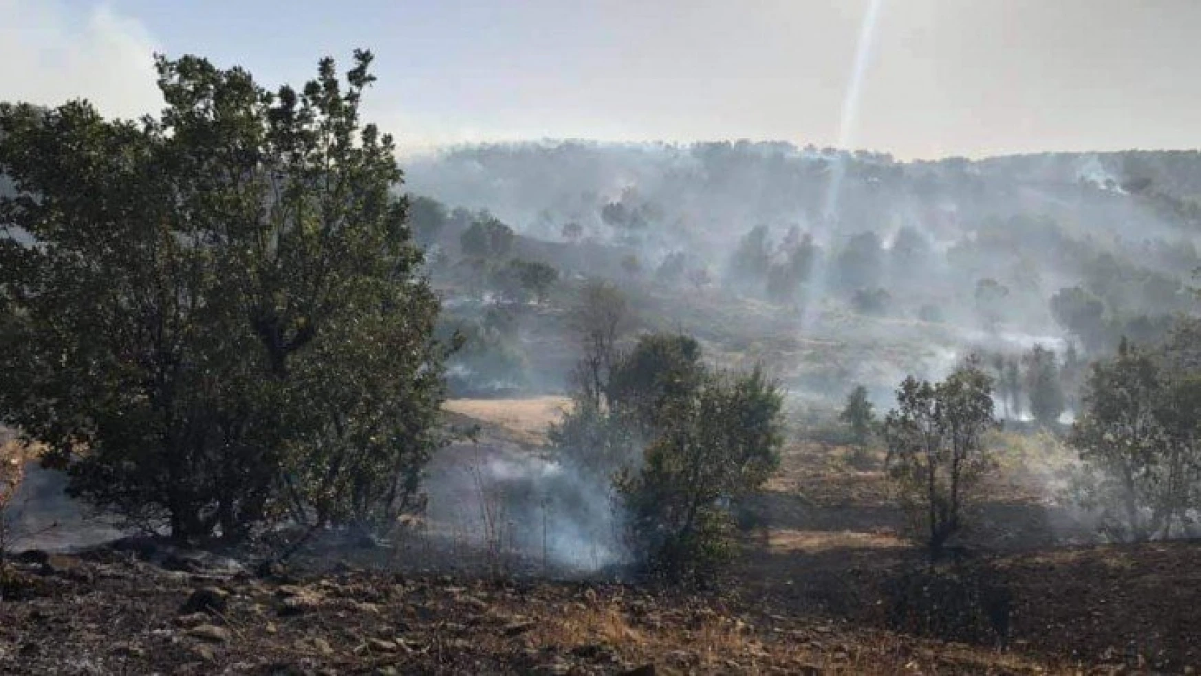 Arıcak'taki orman yangını söndürüldü