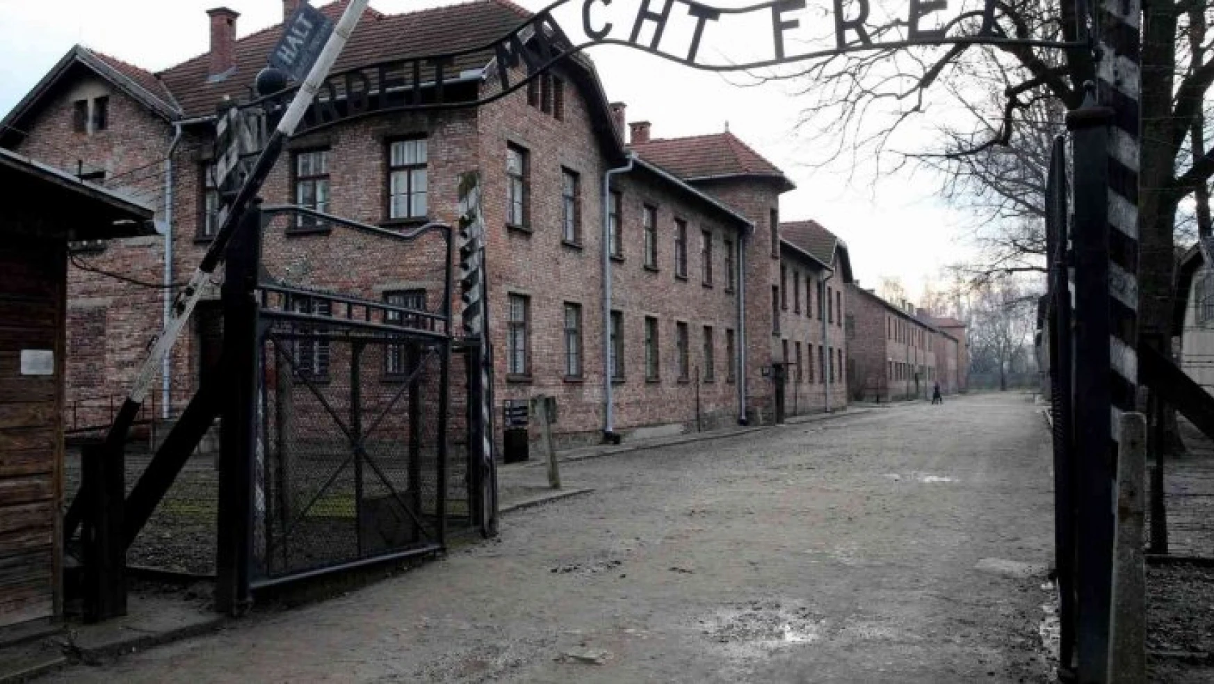 Auschwitz kampında 