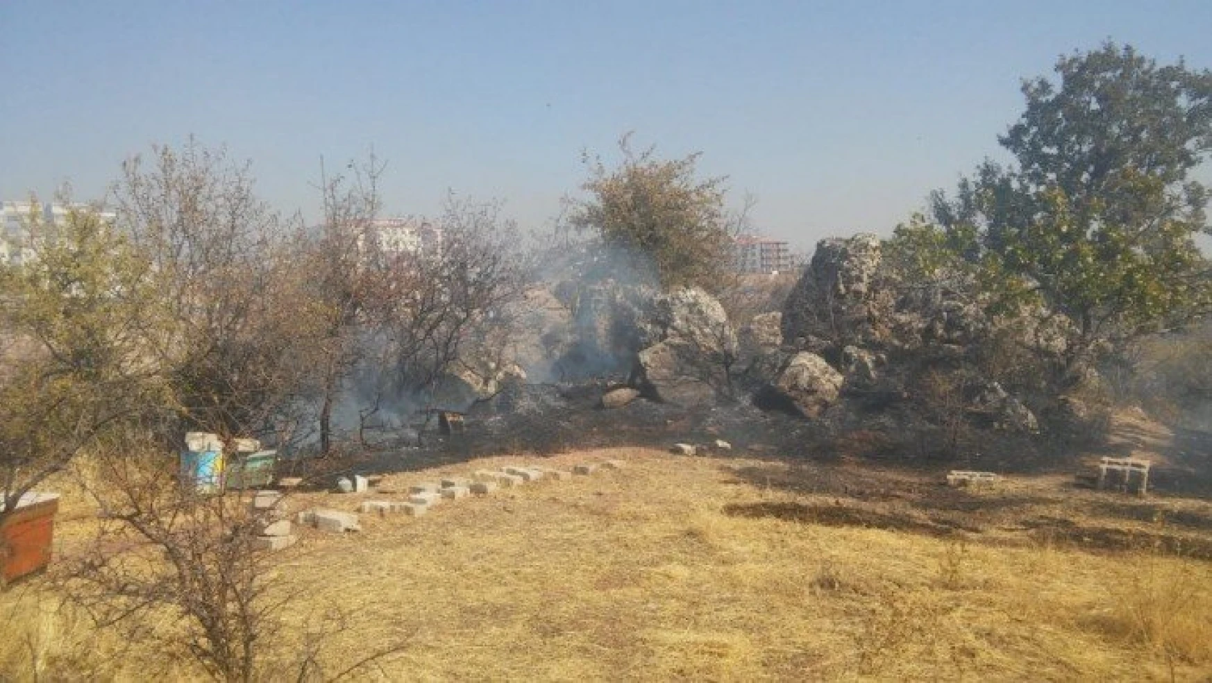 Besni'de bahçe yangını ağaçlara zarar verdi