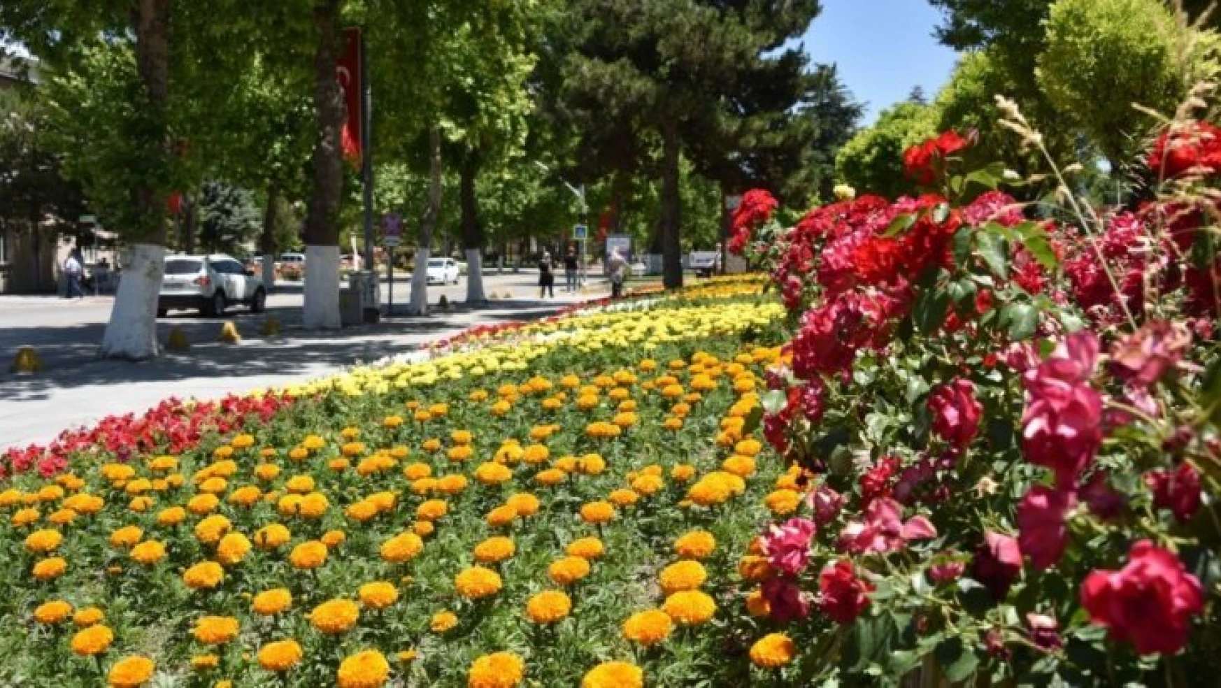 Büyükşehir Belediyesi'nden 150 bin çiçek