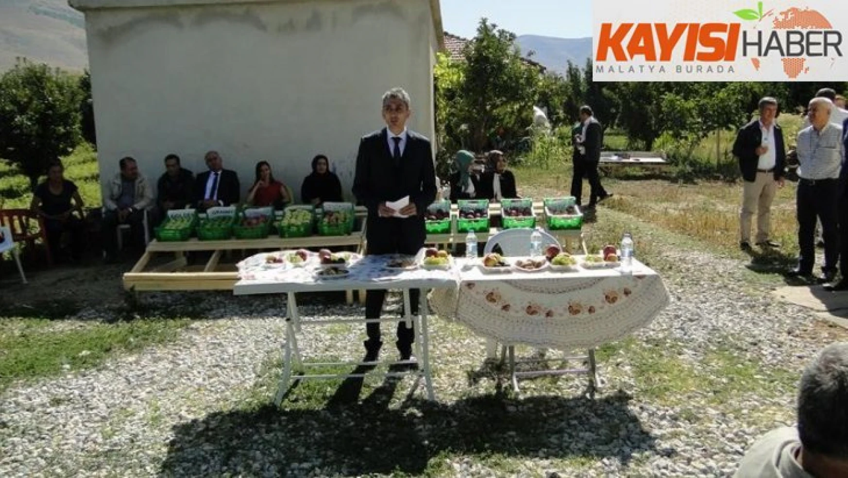 Doğanşehir'de elma hasat günü düzenlendi