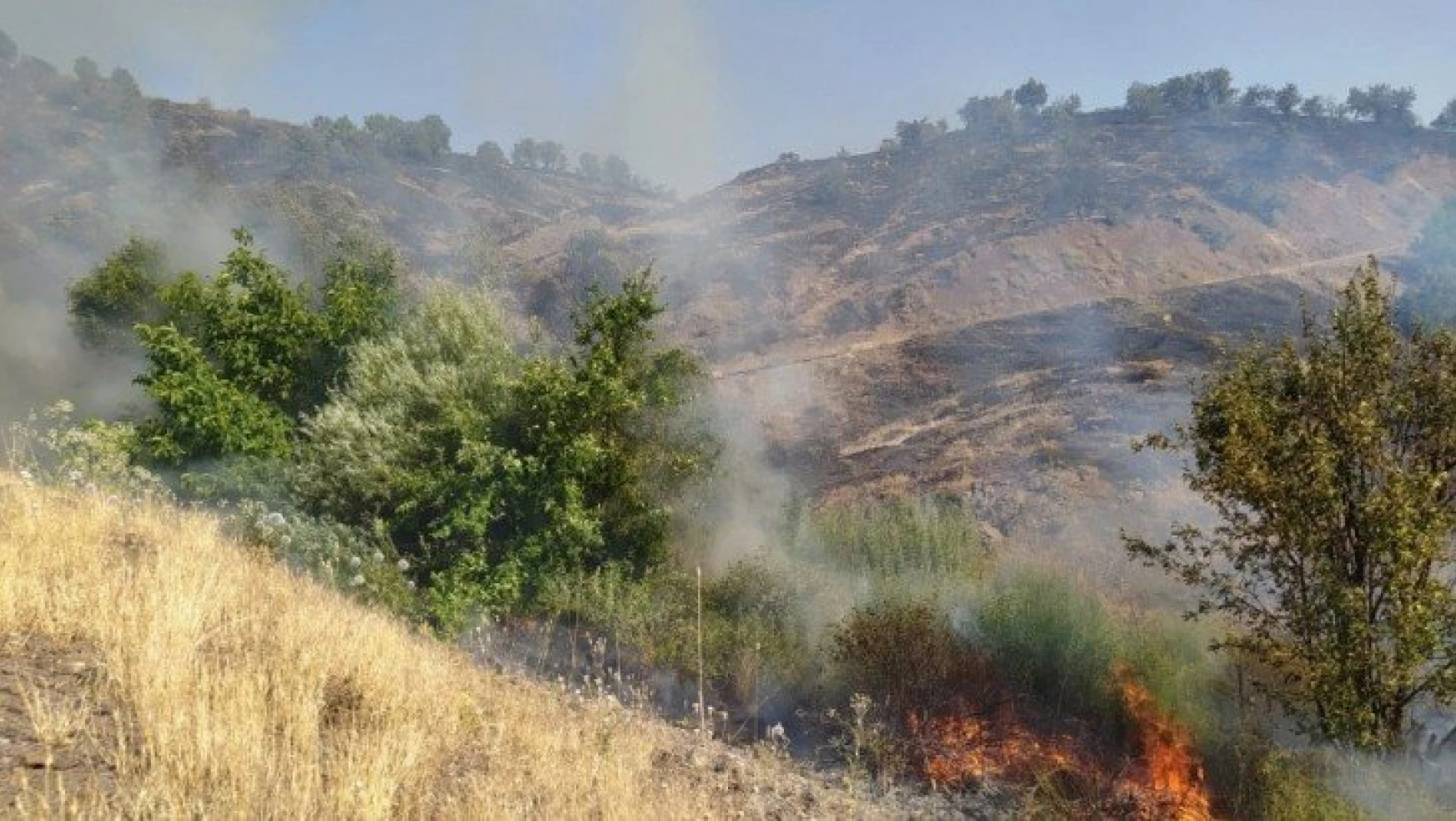Elazığ'da 2 gün süren orman yangını söndürüldü