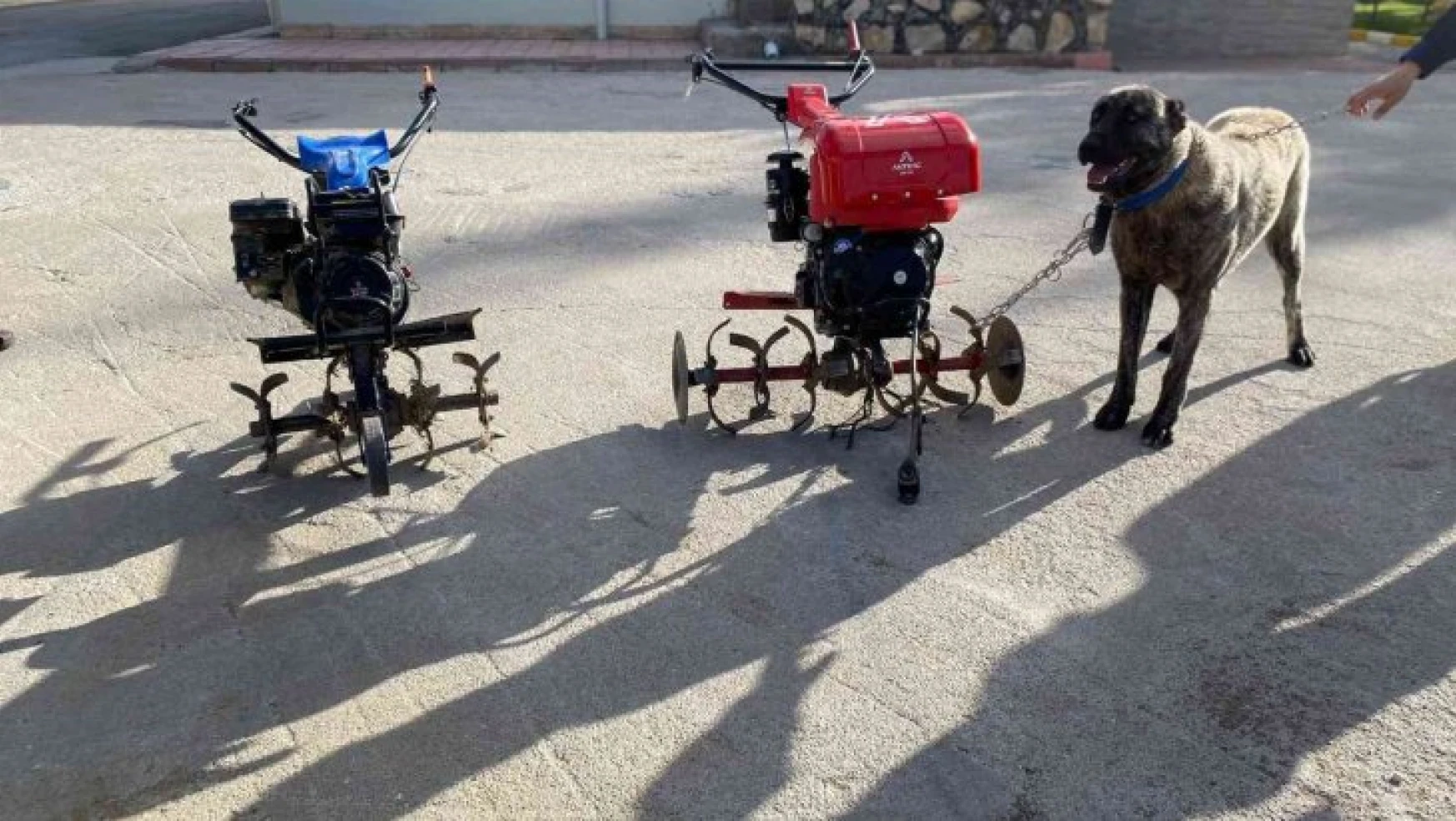 Elazığ'da çapa motoru ve kangal köpeği çalan şüpheliler yakalandı
