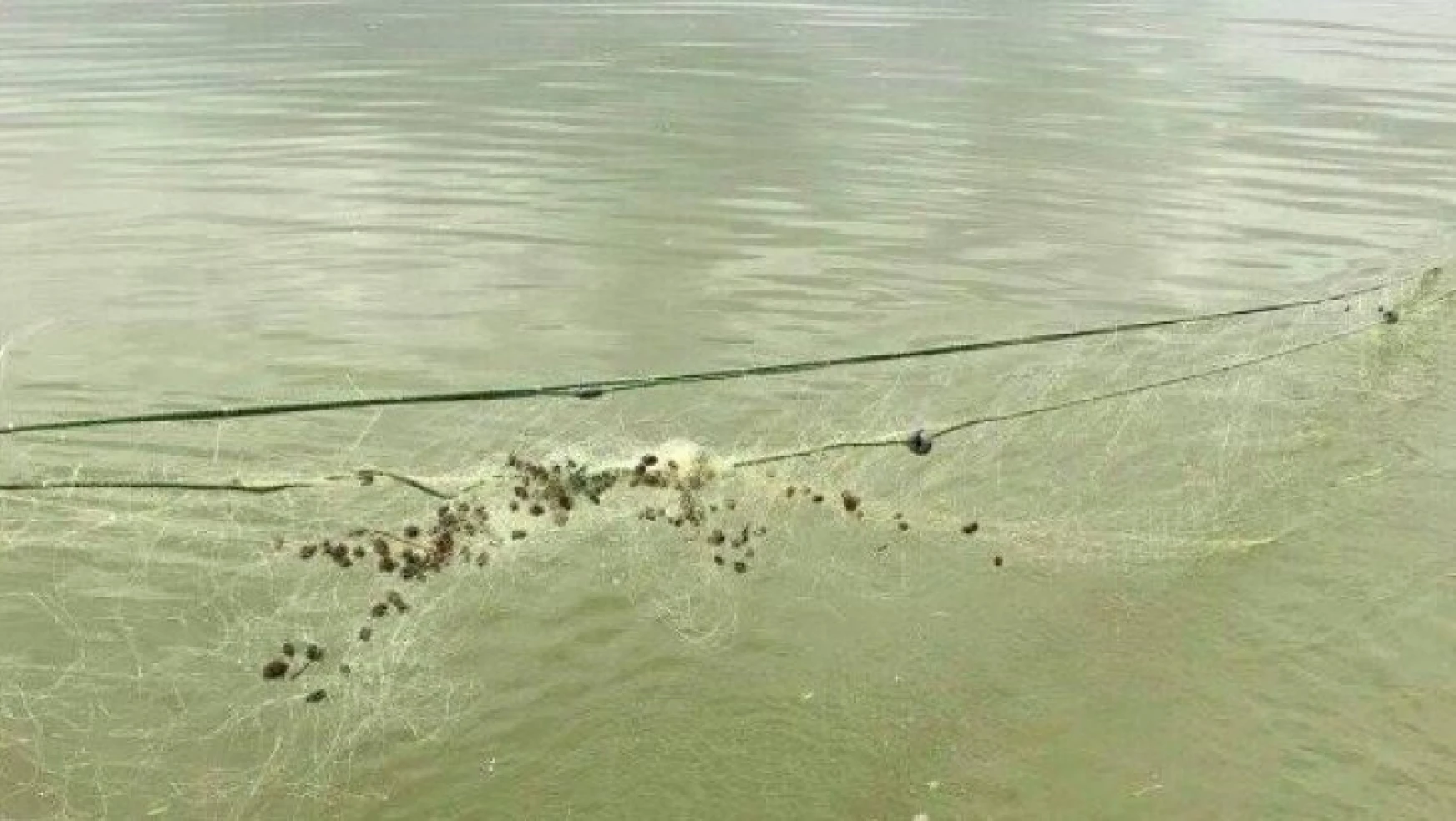 Elazığ'da kaçak balık avı ile mücadele