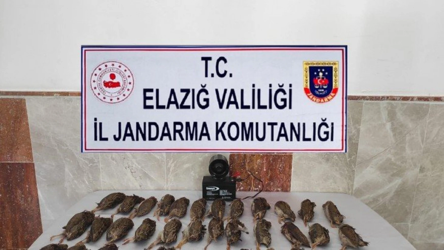 Elazığ'da kaçak bıldırcın avına 8 bin 220 lira ceza