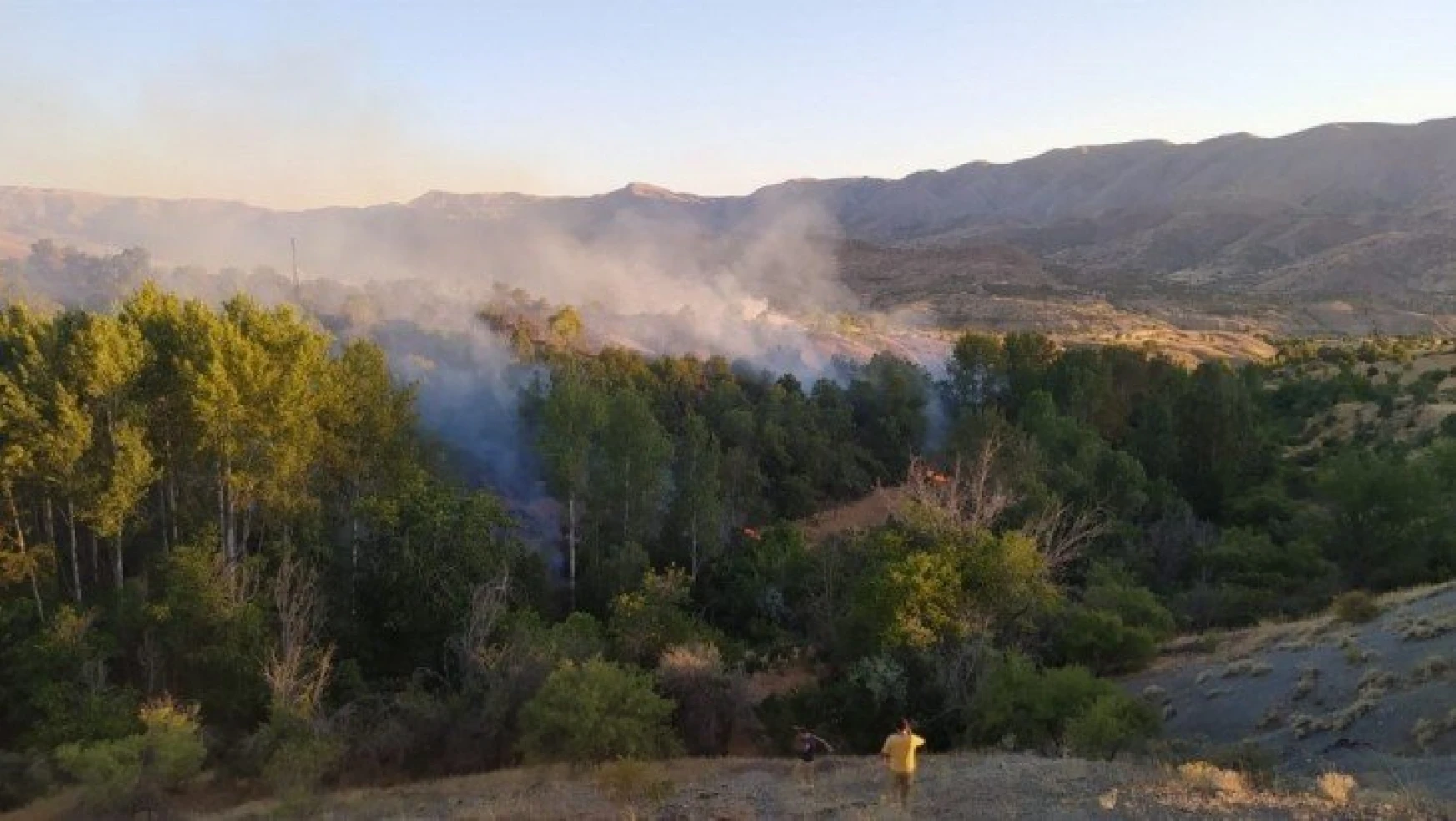 Elazığ'da orman yangını, 30 dönüm zarar gördü