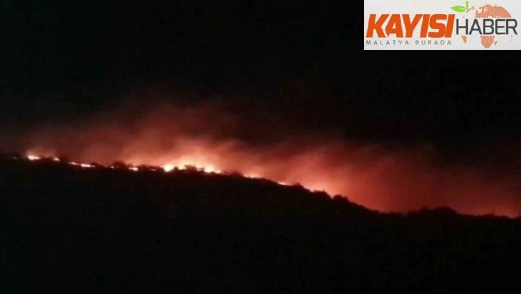 Elazığ'da orman yangını