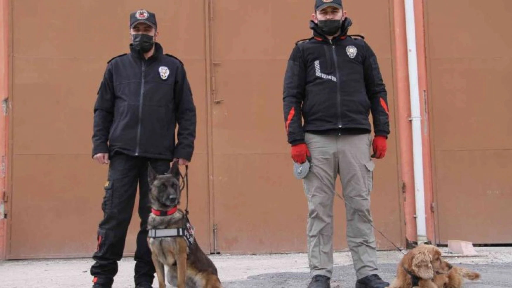 Elazığ'da uyuşturucu tacirlerinin korkulu rüyaları: Alex ve Nina
