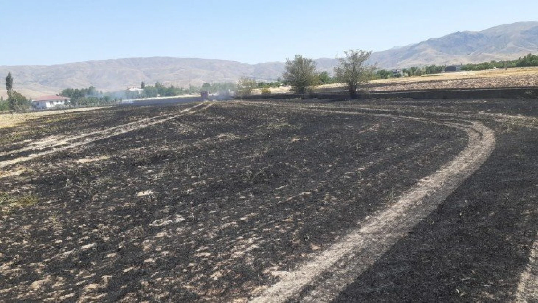 Elazığ'da yangın,arpa ekili arazi kül oldu