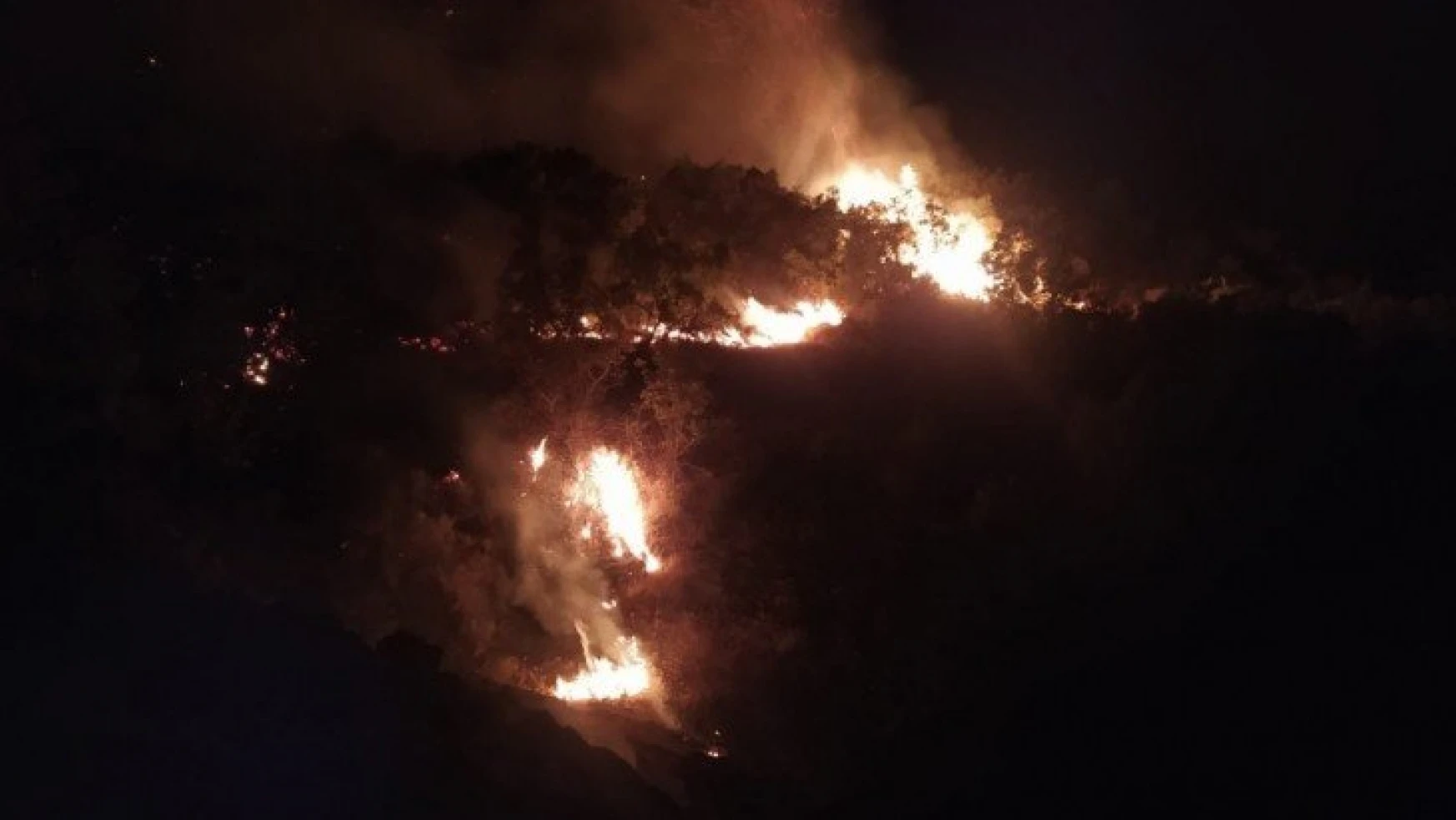 Elazığ'daki orman yangını 30 saatte kontrol altına alındı