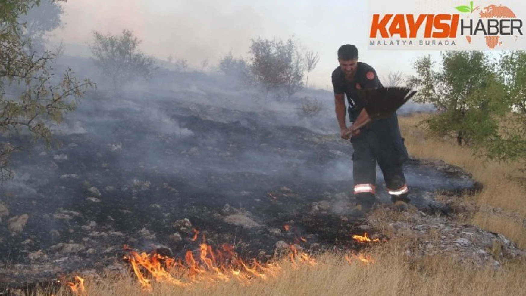 Elazığ'daki orman yangını 5 saatte kontrol altına alındı