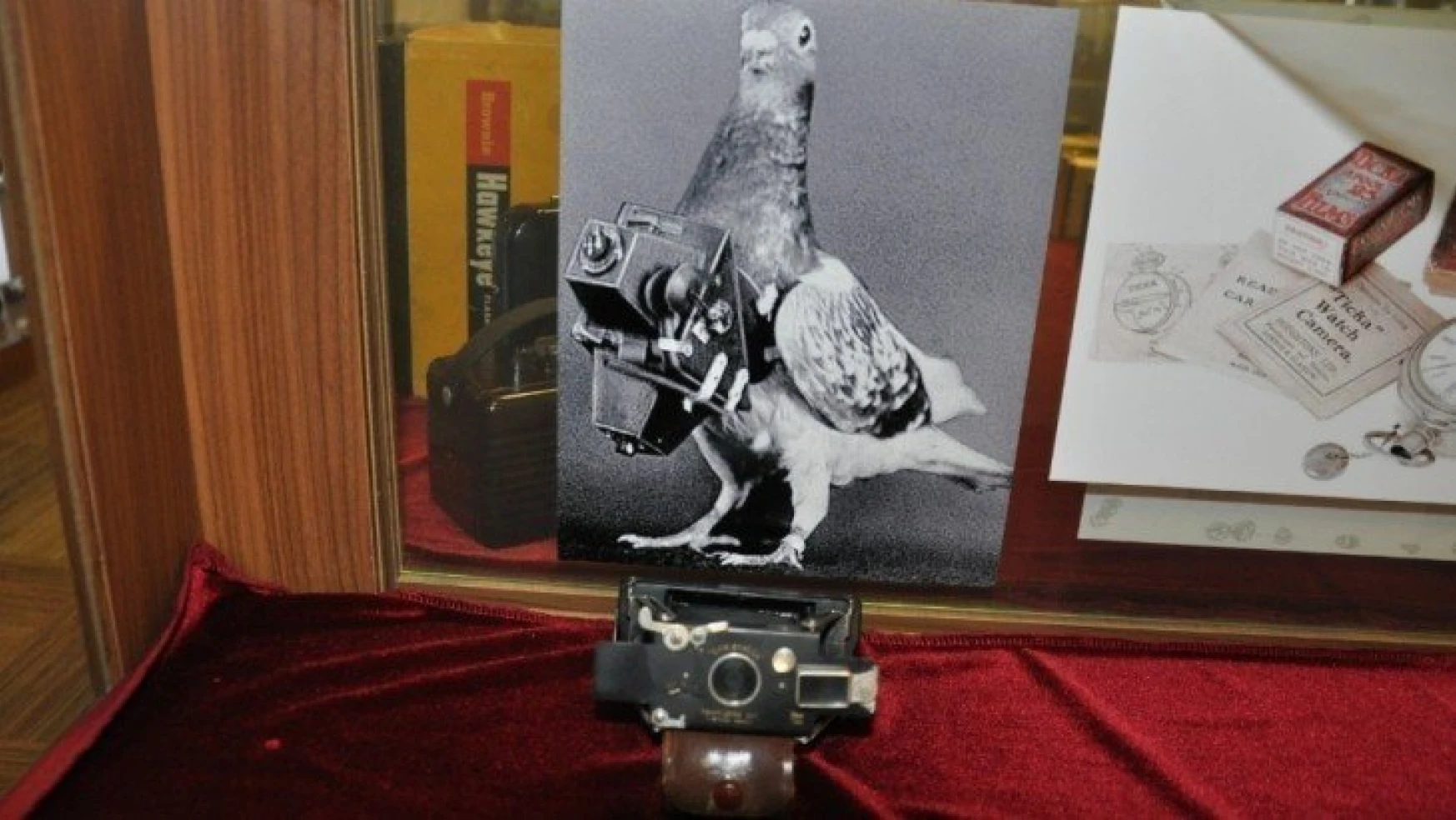Fotoğraf Makinesi müzesinde 'Güvercin drone' ilgi görüyor