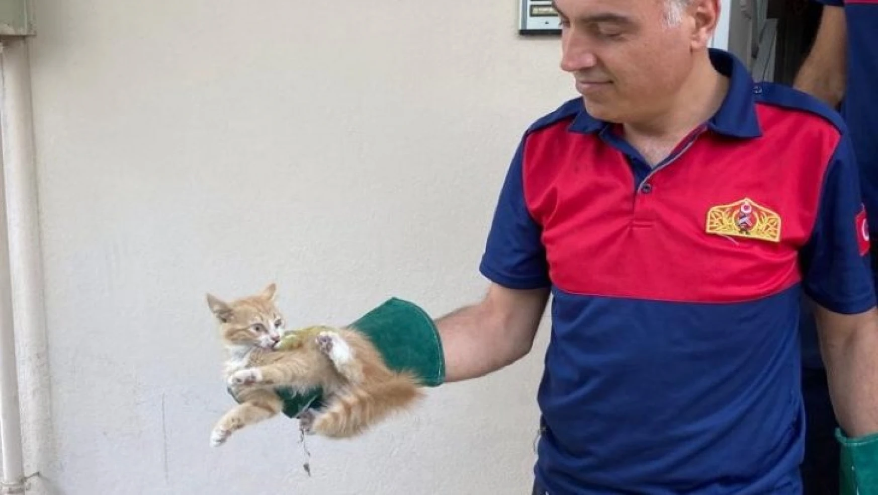Havalandırma boşluğundaki kedi kurtarıldı