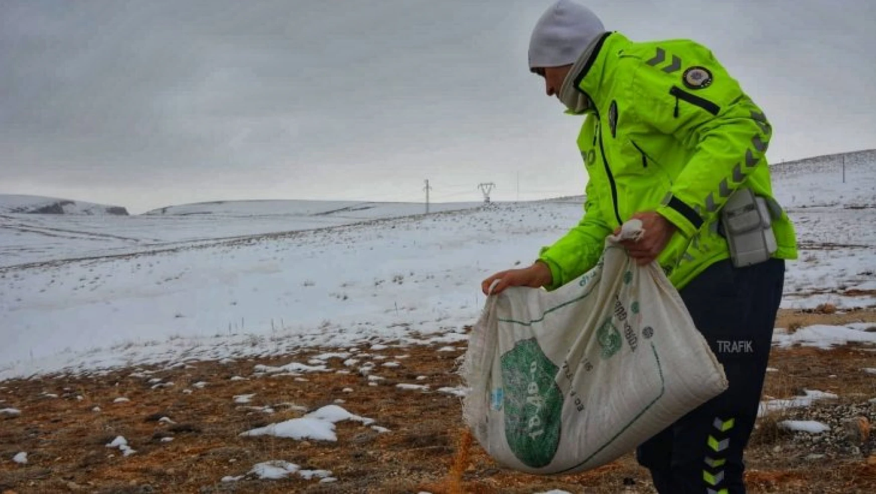 Karda yiyecek bulmakta zorlanan hayvanlara polis şefkati