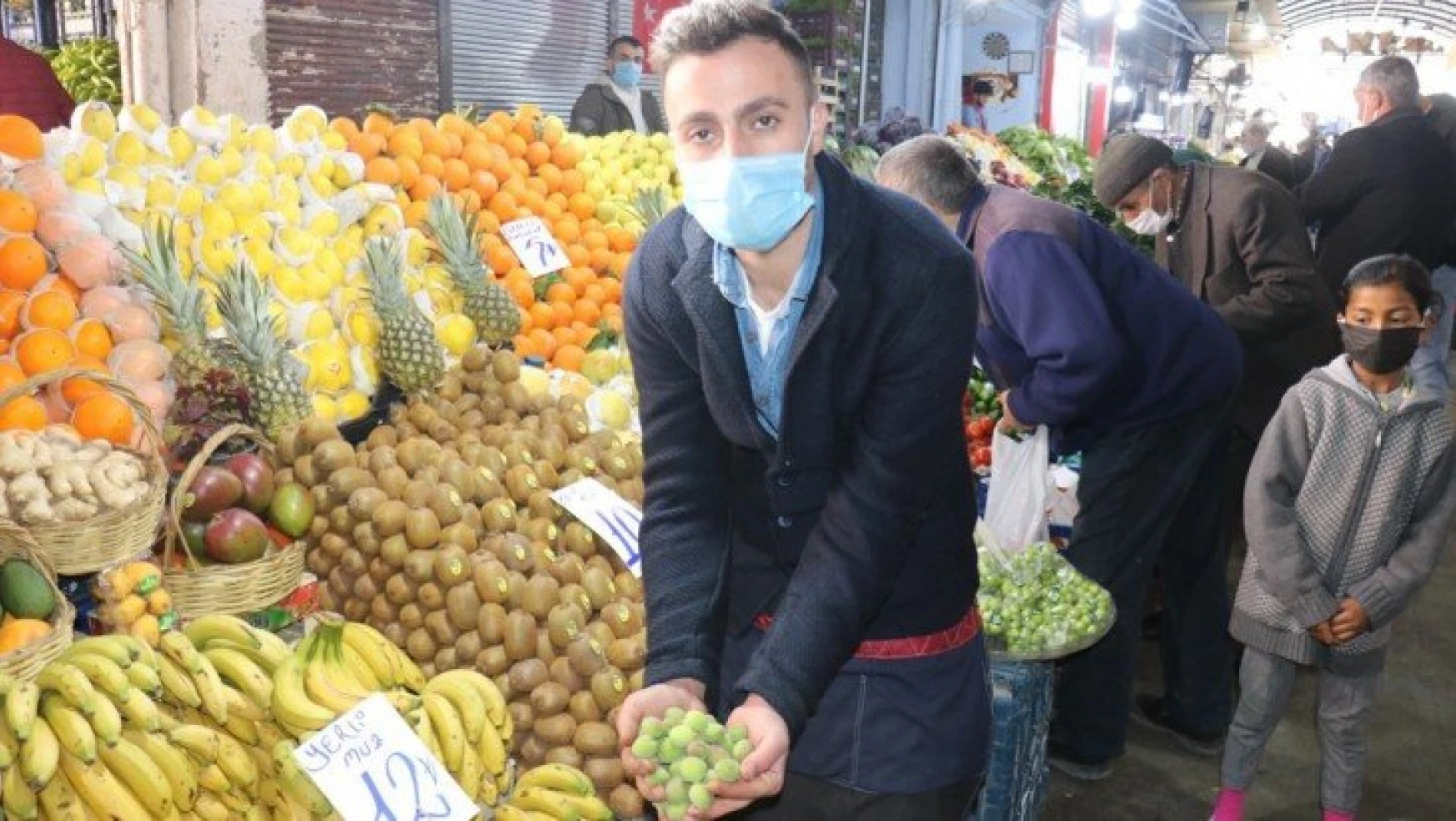 Kayısı kenti Malatya'da Mut kayısısı satılıyor