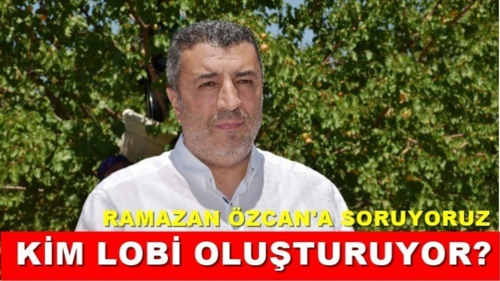 Kim lobi oluşturuyor?