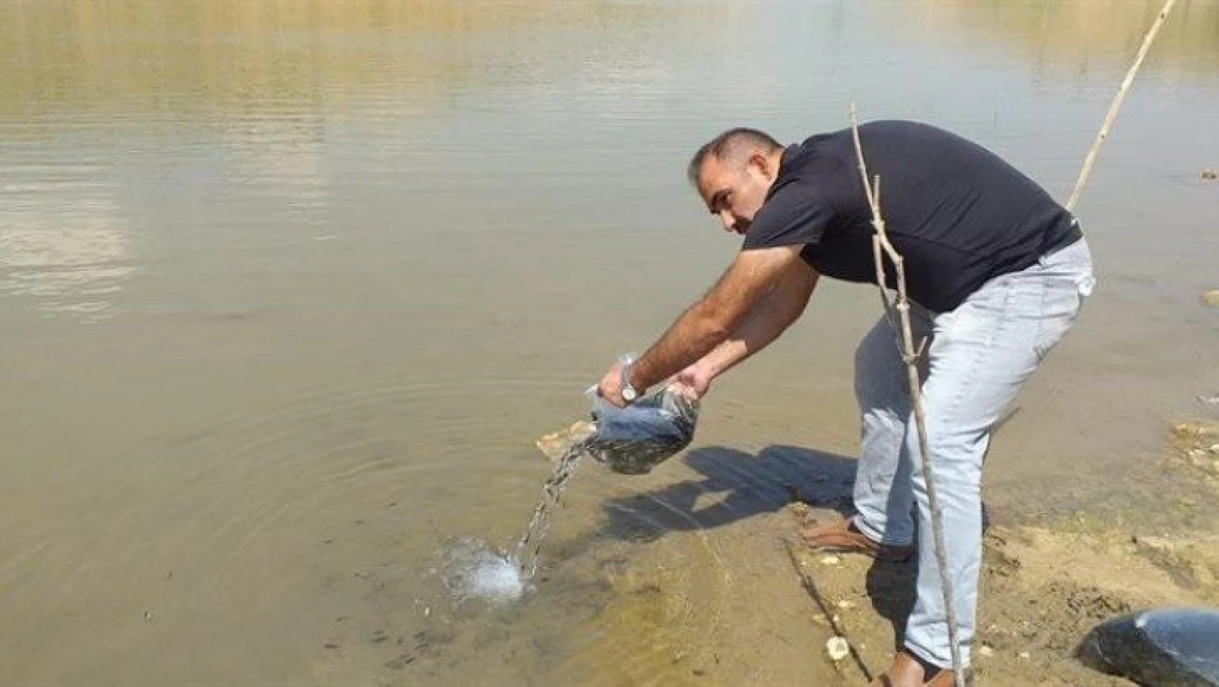 Malatya'da göletlere 120 bin yavru balık bırakıldı