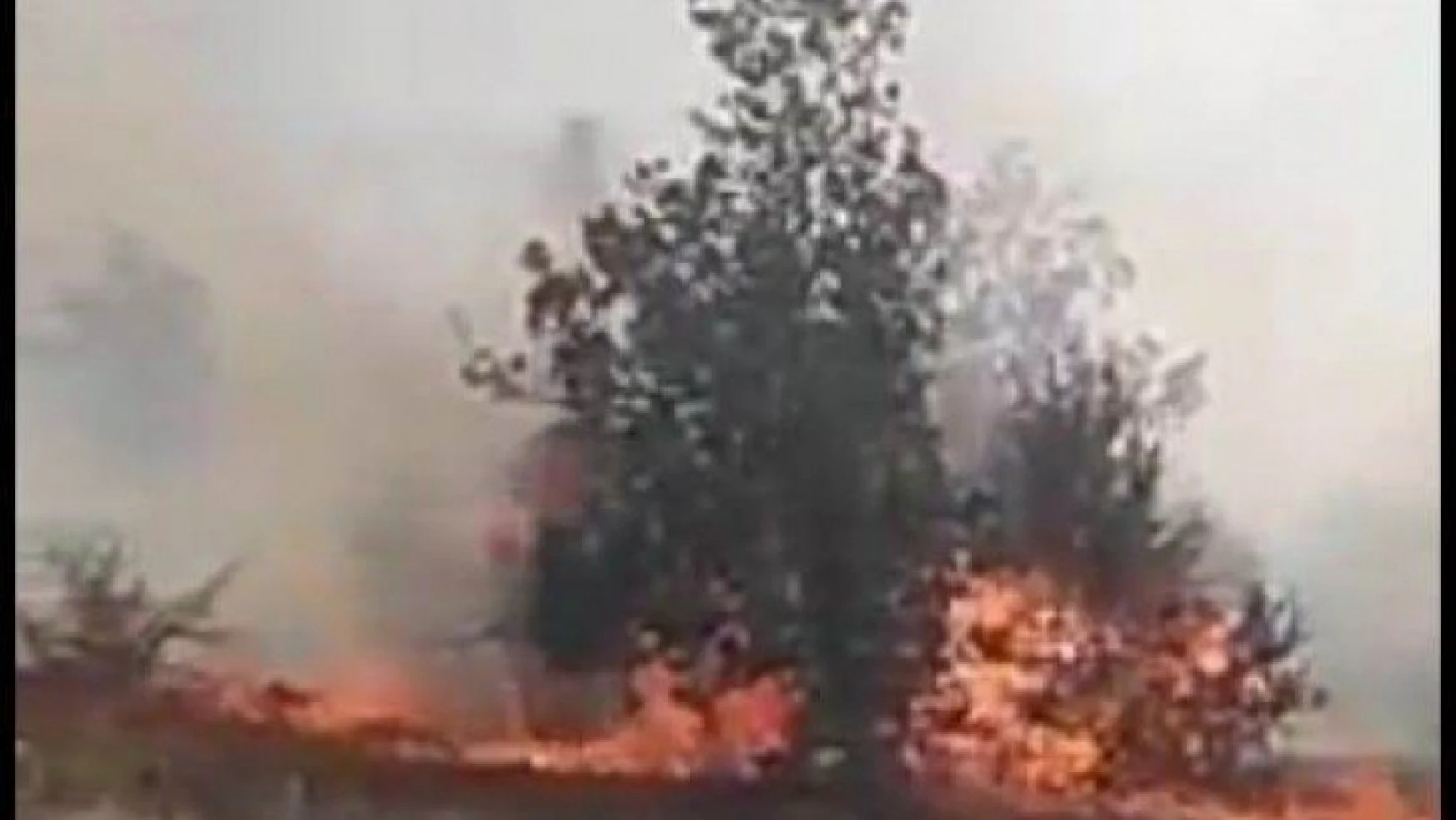 Malatya'da örtü yangını