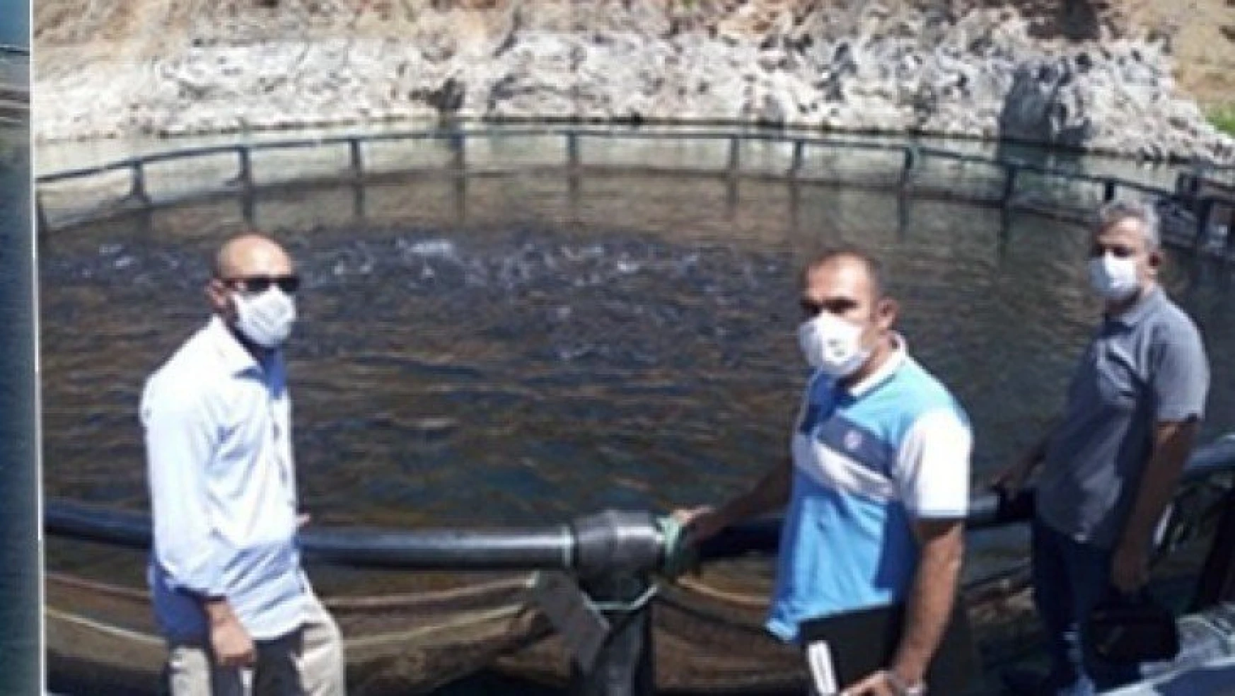 Malatya'da Somon Balığı üretimine önem
